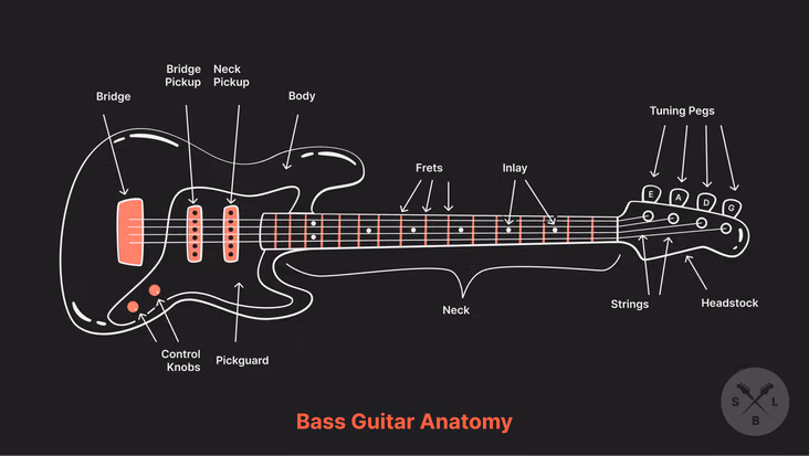 pobg 01 bass guitar anatomy